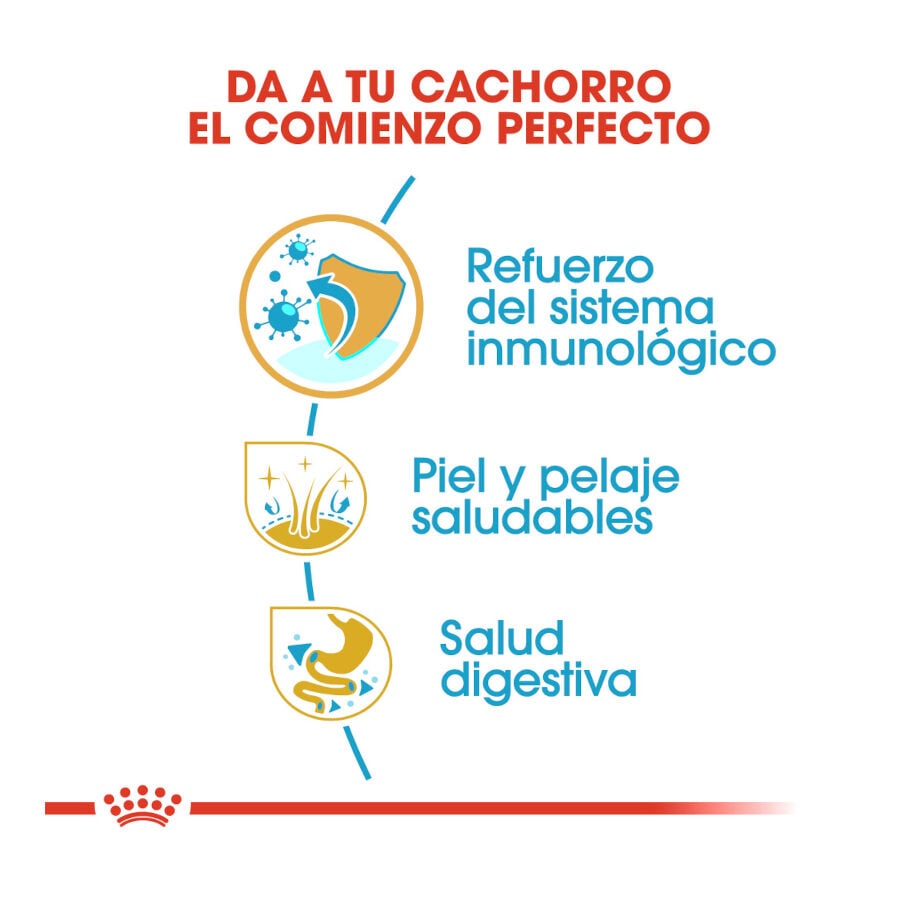 3 kg Royal Canin Puppy Cocker pienso para perros, , large indicador imagen numero 6